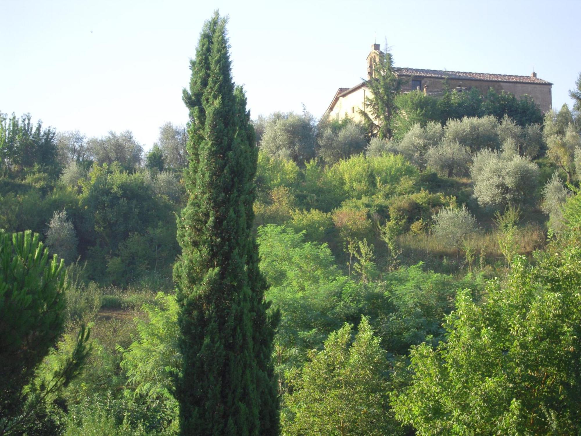 Villa Caprera Siena Habitación foto